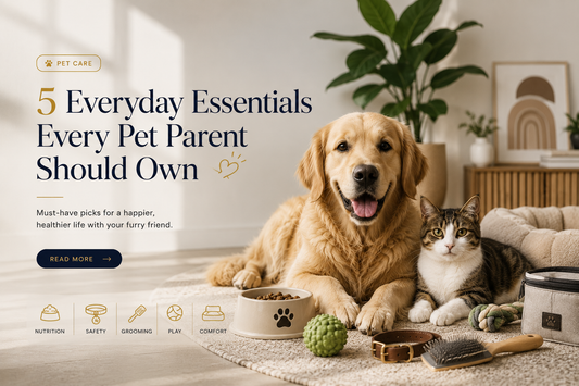 5 Everyday Essentials Every Pet Parent Should Own