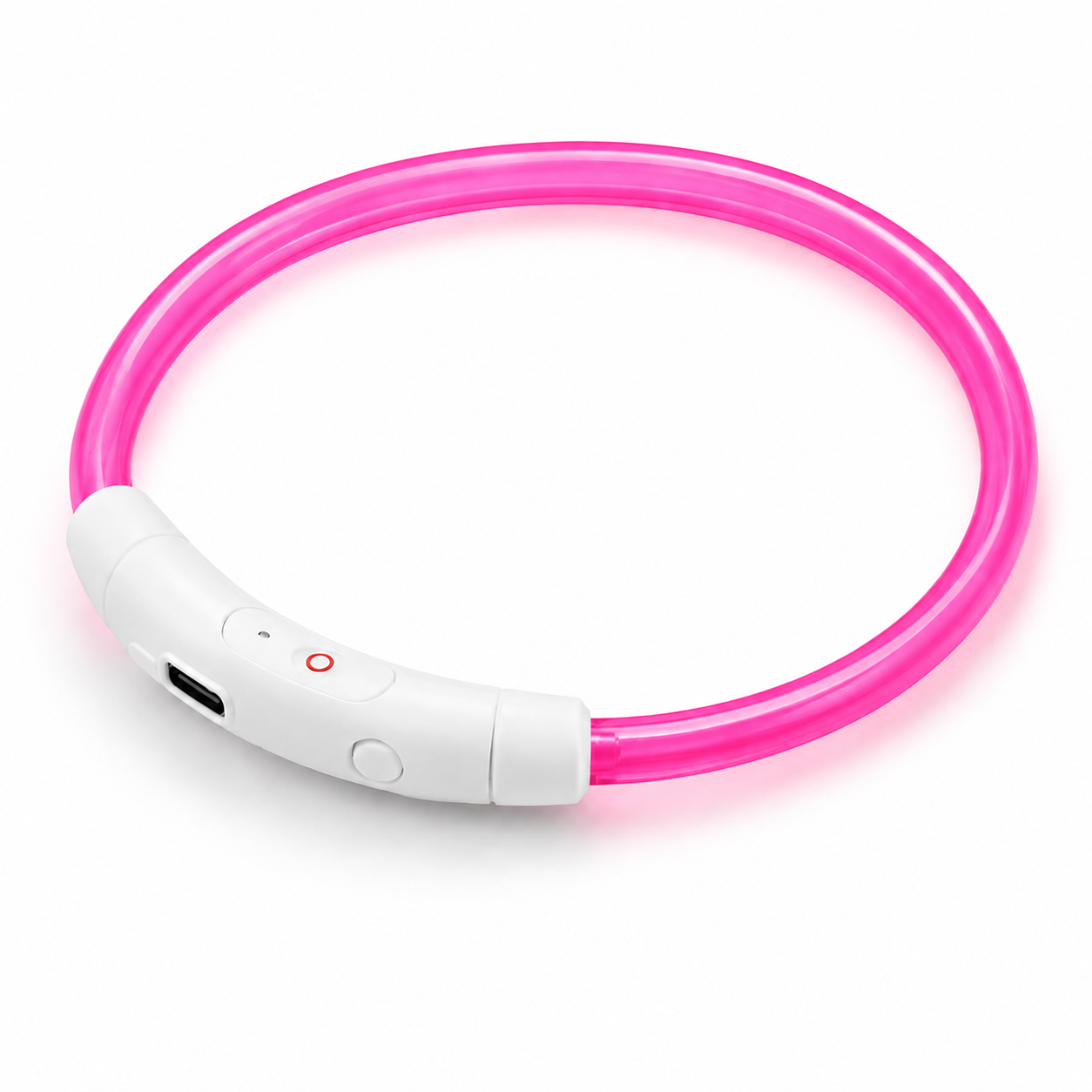 Nylon LED Pet Glow Collar