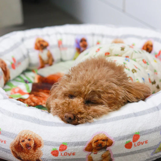 Customized Donut pet Bed